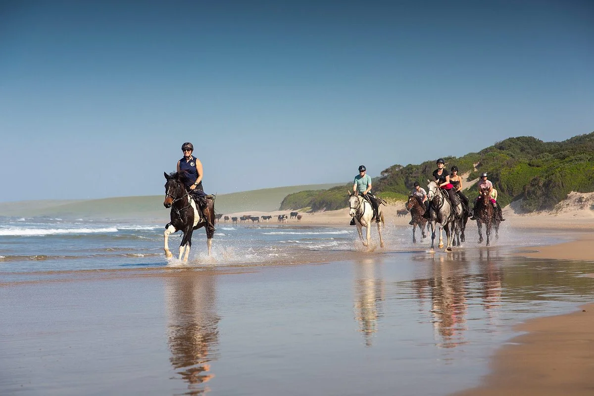 Wild Coast Horse Riding Adventures