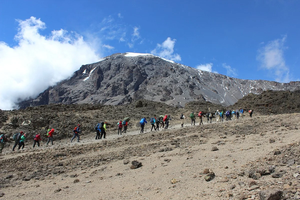 Topi Adventure