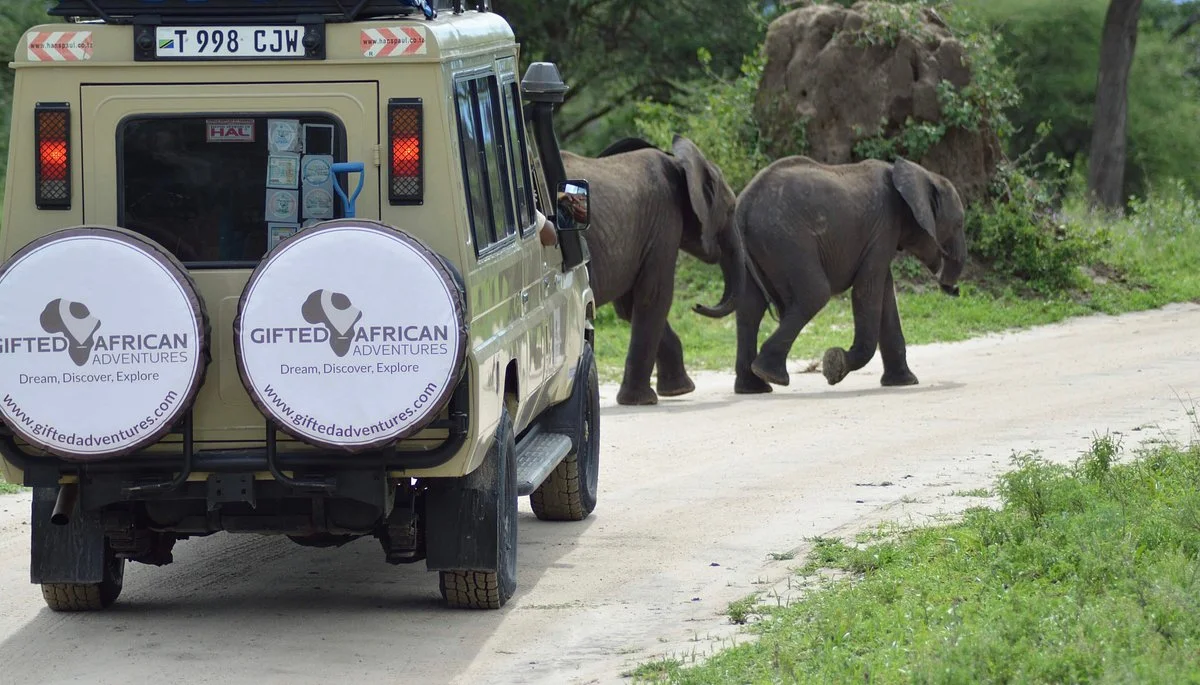 Gifted African Adventures
