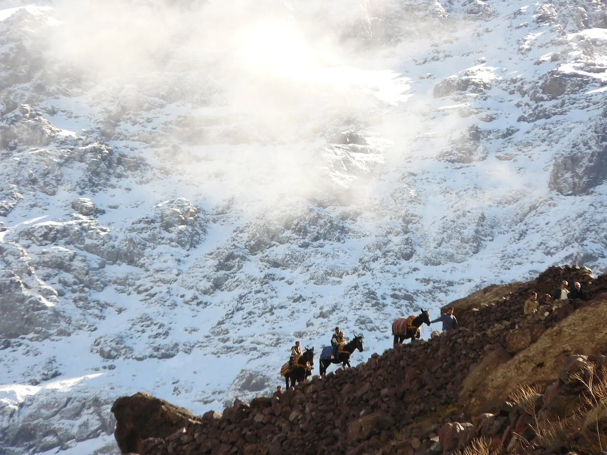Parfum Berbere Trek