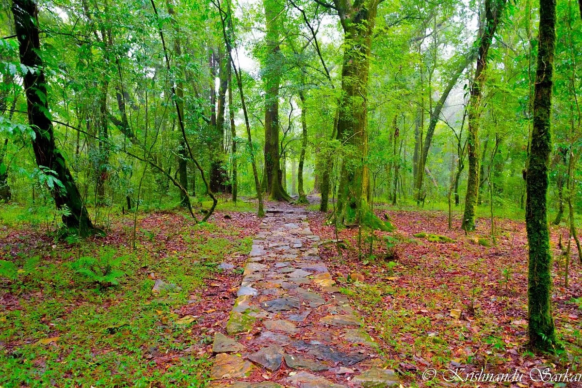 Mawphlang Sacred Forest