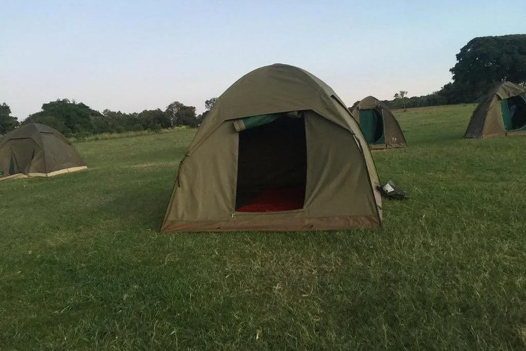 Rhino Explorer Tours & Safaris