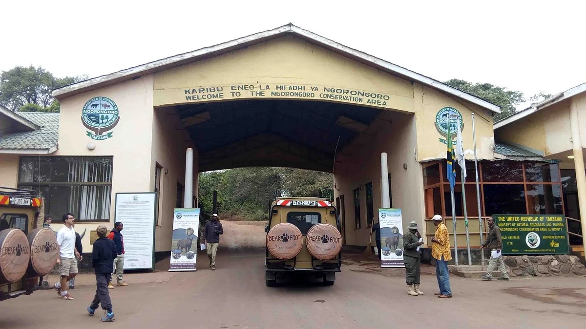 Bearfoot Expeditions
