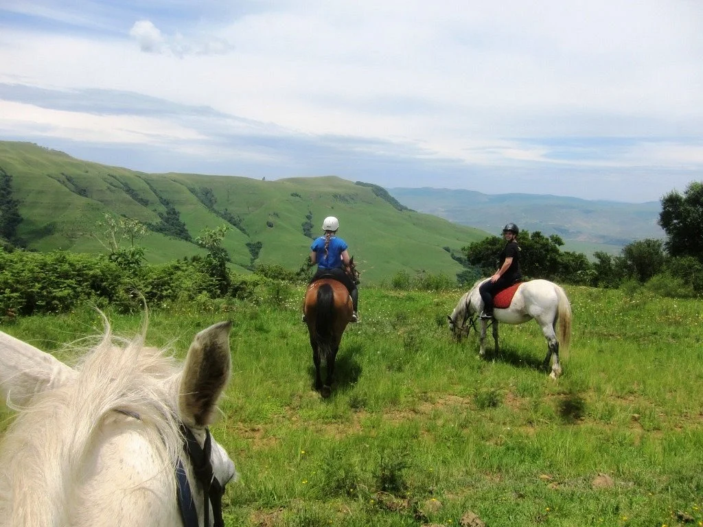 Stormy Hill Trails & Tails