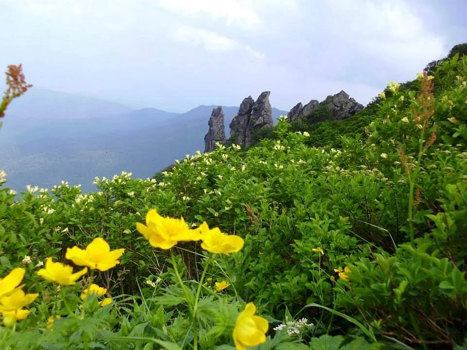 Kurodake