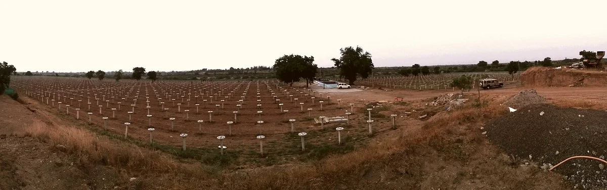Vasupujya Dragon Fruit Farm