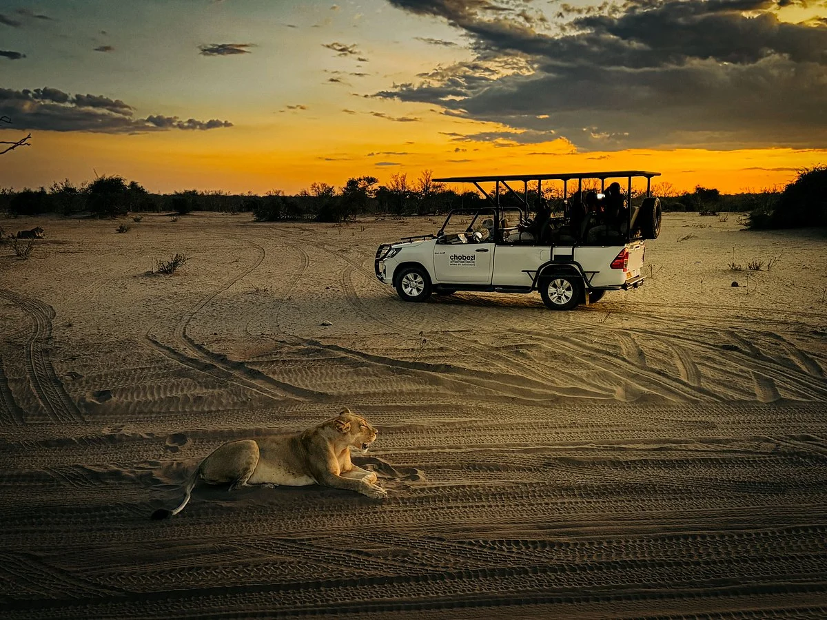 Shearwater - Chobe Full Day Trip