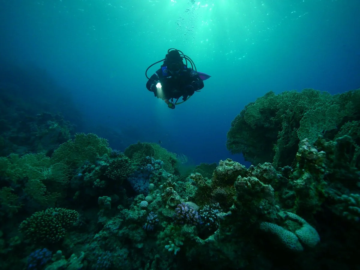 Extra Divers World Wide