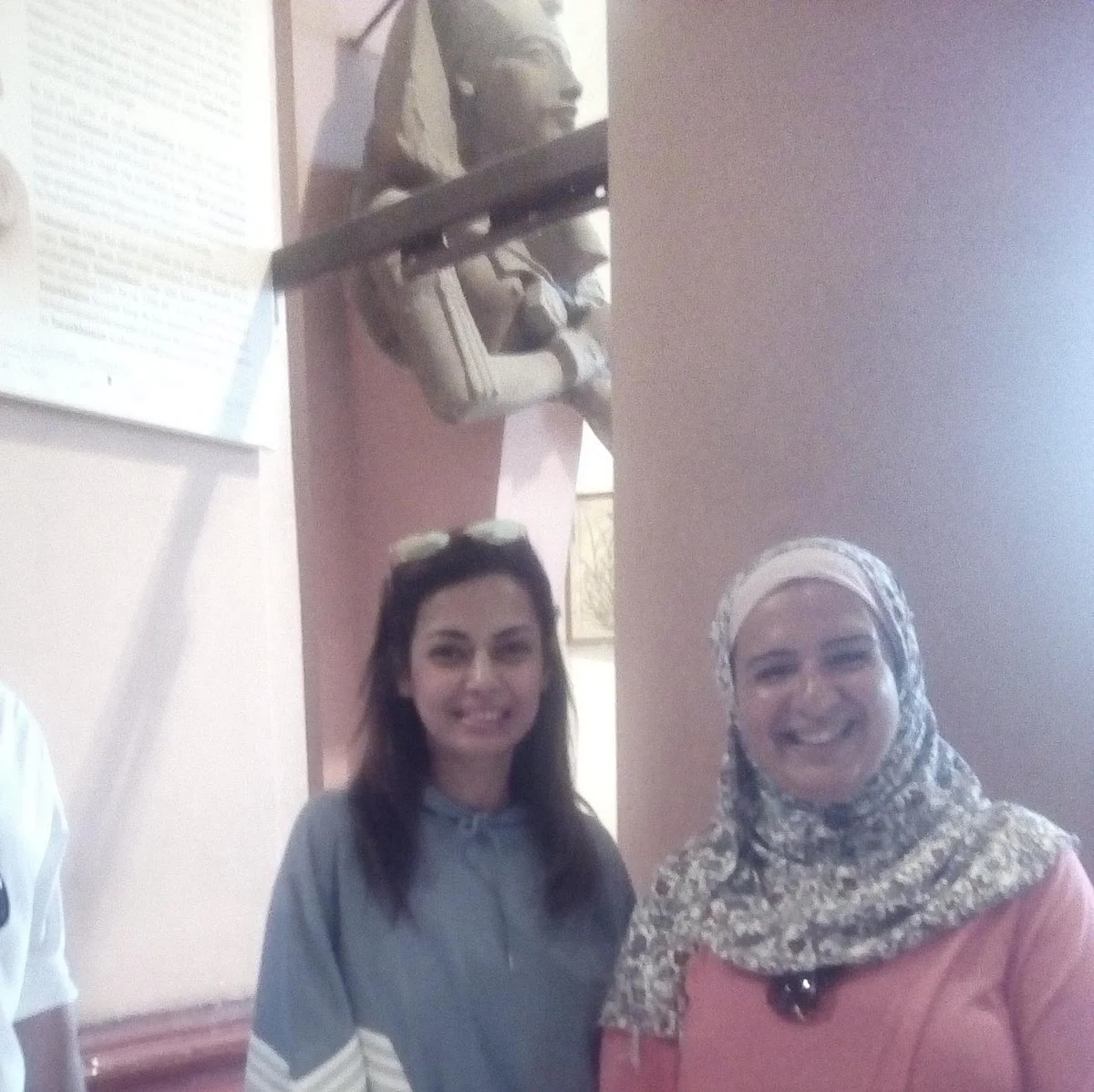 Radwa Tarek