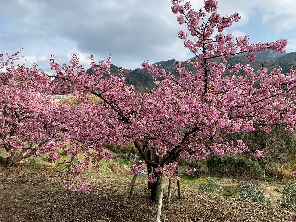 Takesan Farm