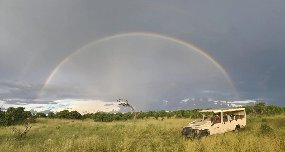 Bush Ways Safaris