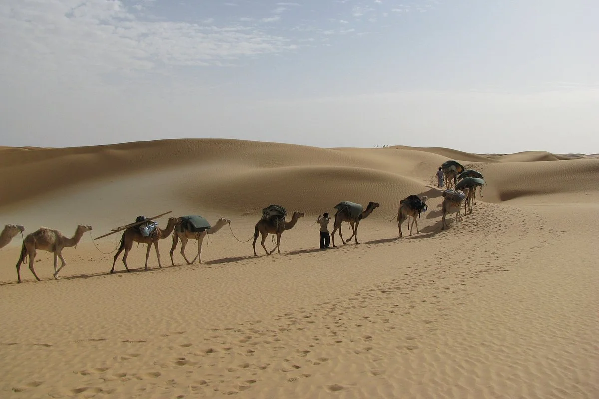 Atar Voyages