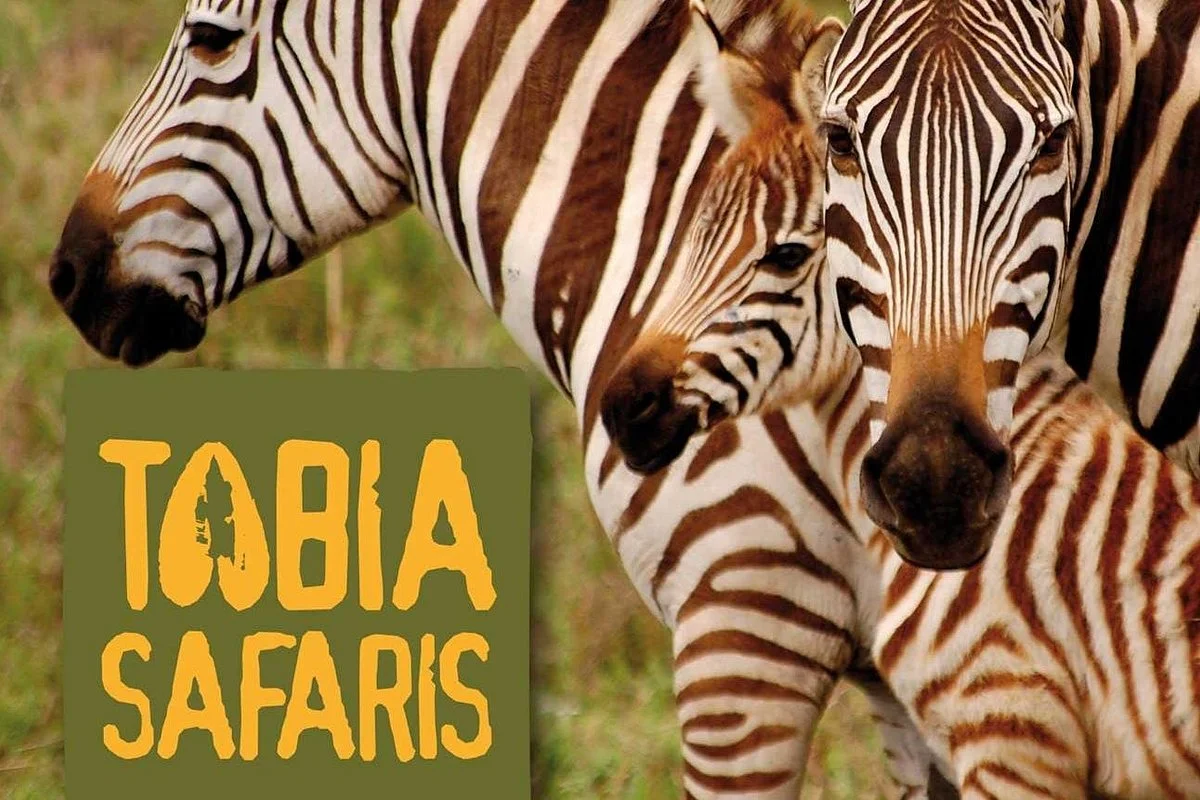 TABIA SAFARIS