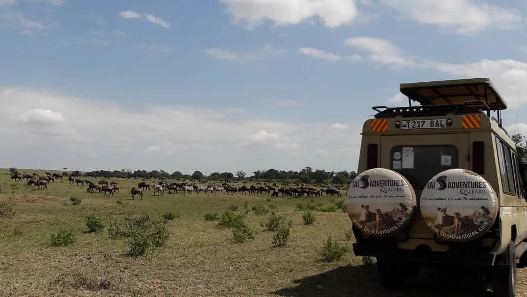 Tai Adventures and Safaris