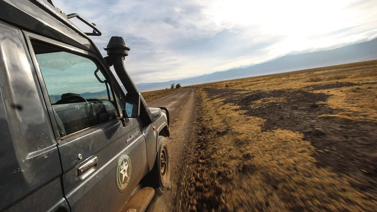 Wild Mind Travel Company
