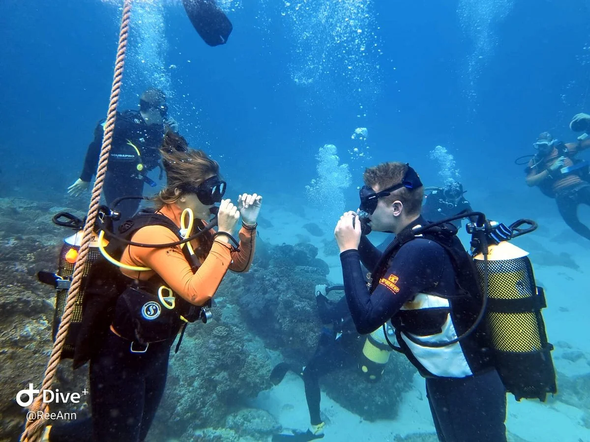 Pisces Diving Charter