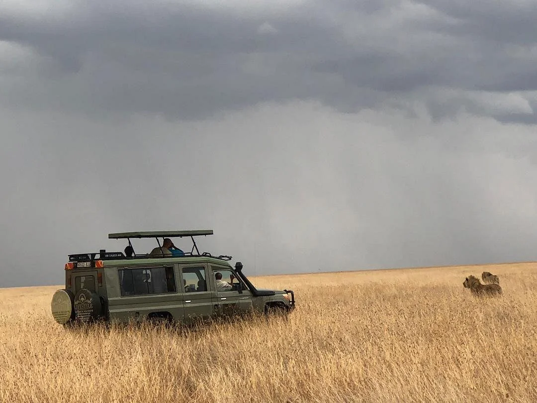 Lifestyle Safaris & Holidays Limited