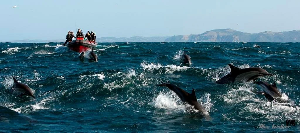Offshore Africa