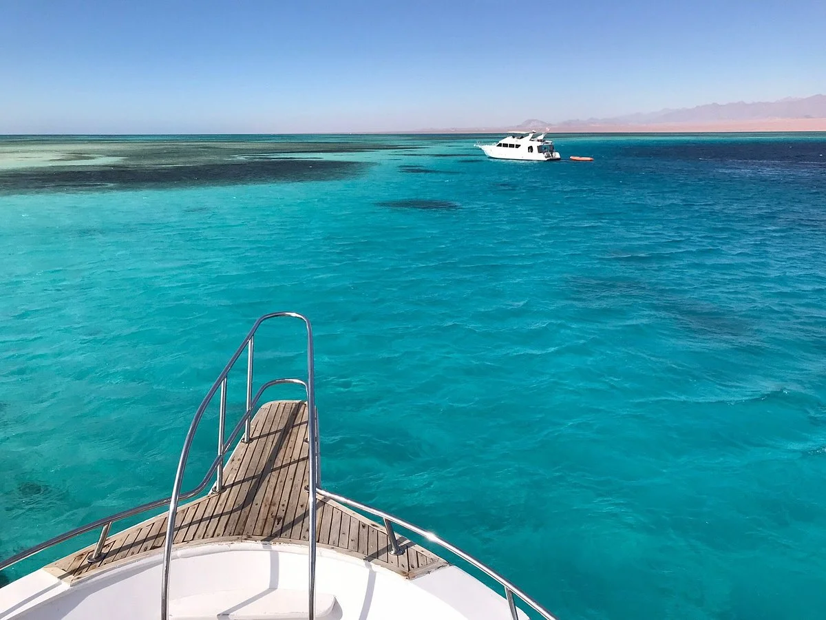 Blue Dream Dive Club