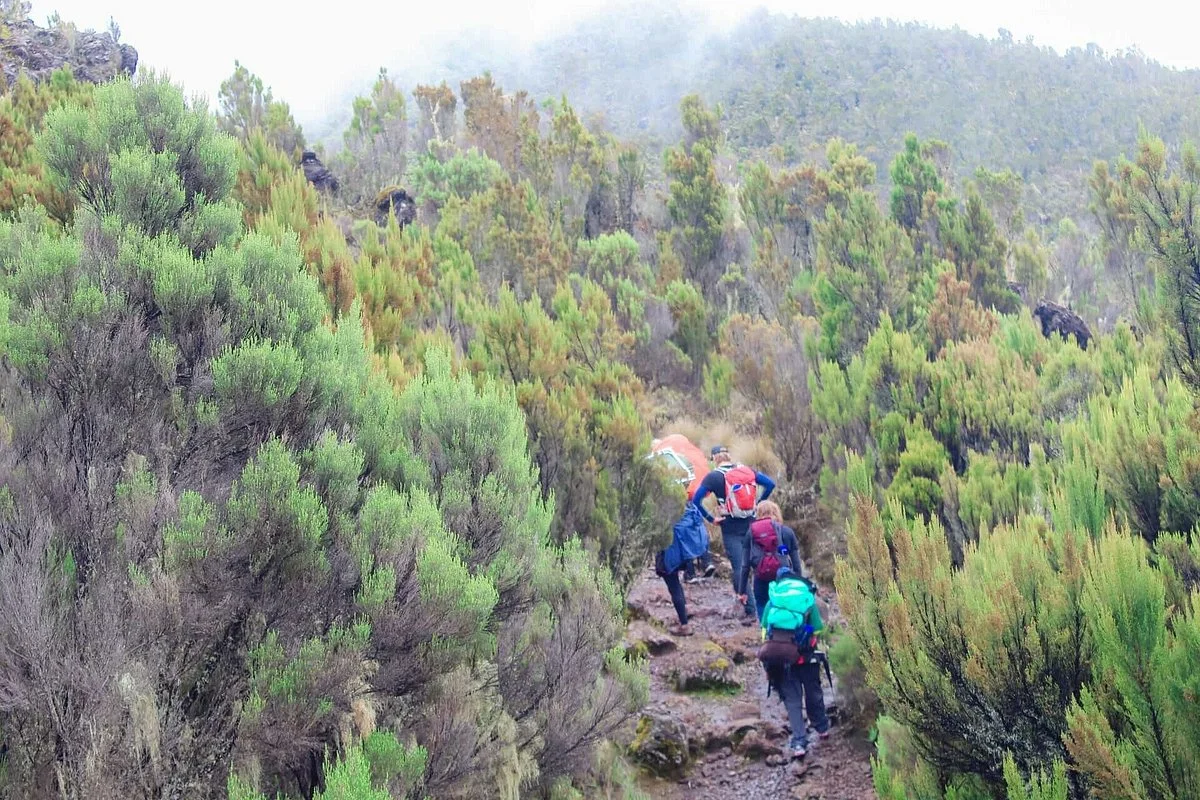 Kilimanjaro Lifetime Adventures and Safaris