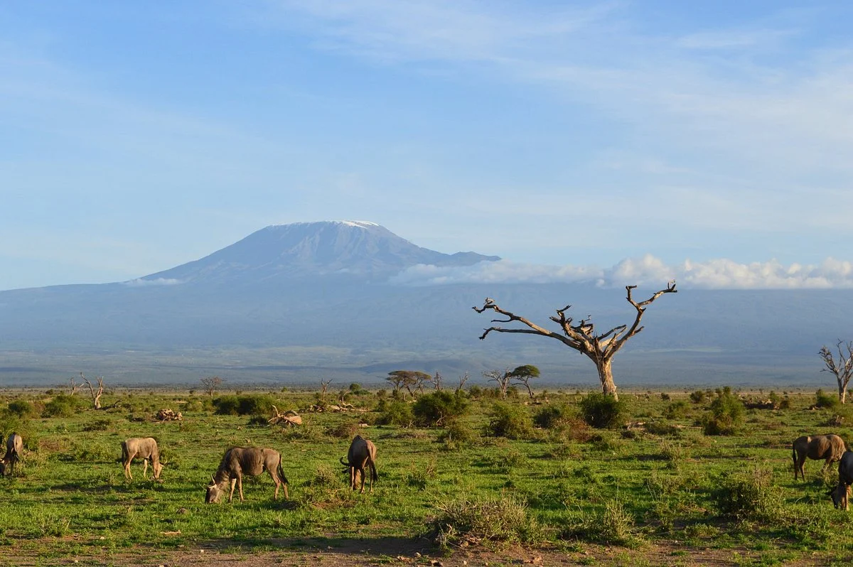Gabriel Safaris Day Tours