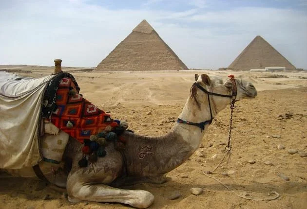 Egypt Guidelines Day Tours