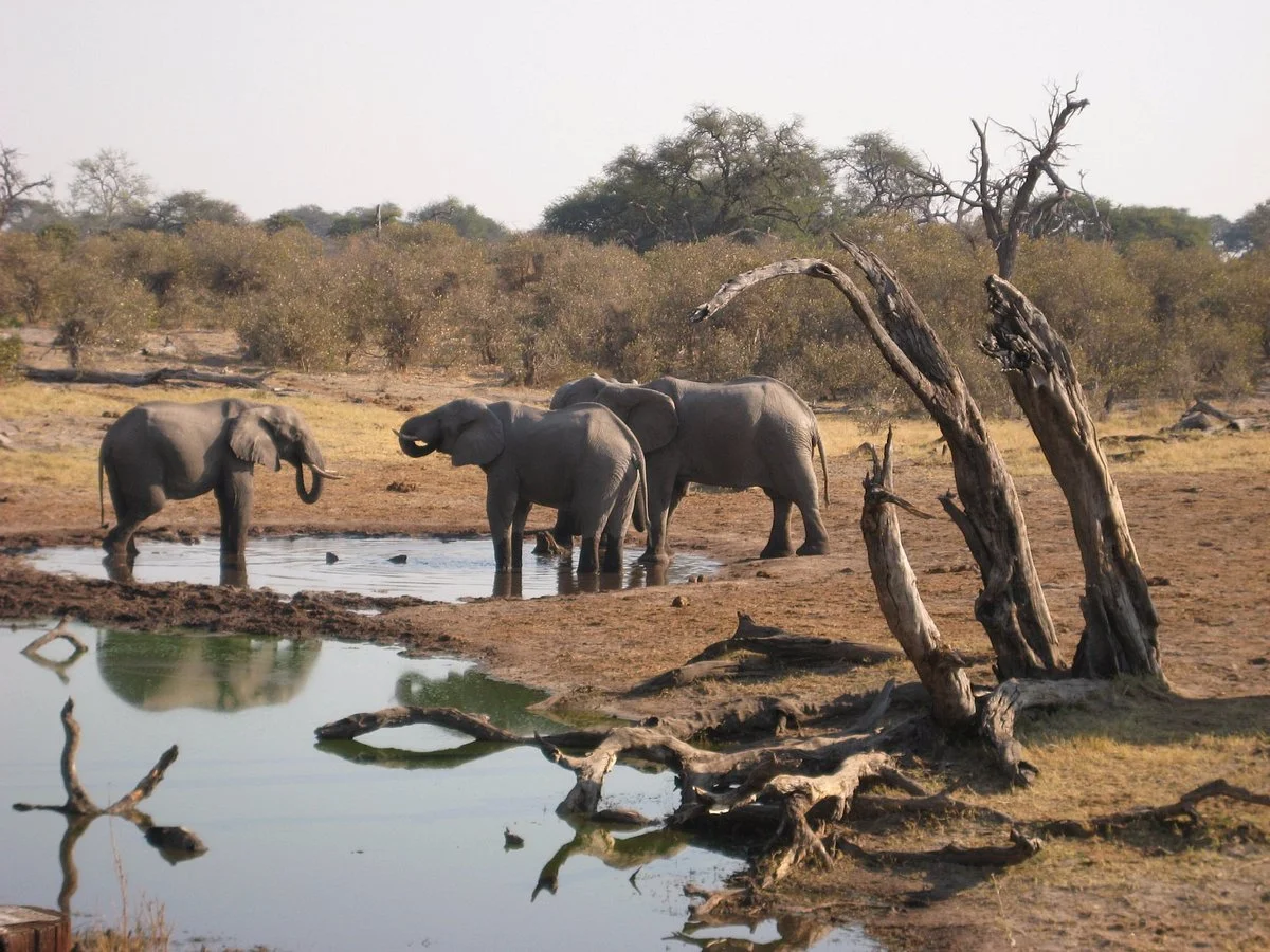 Iswiza Tours & Safaris