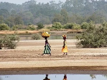 Gambia Santosu Drives Experiences