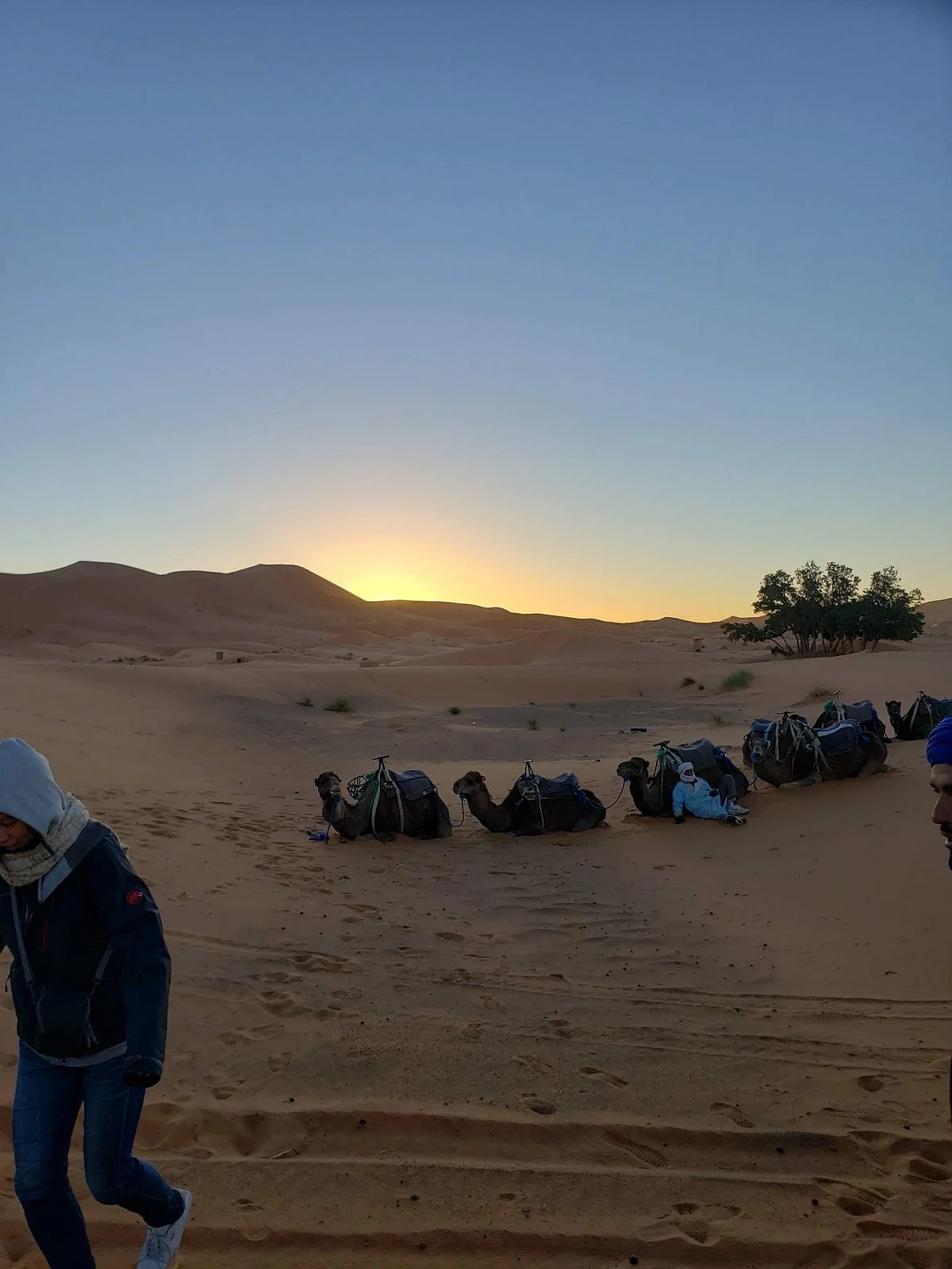 Circuit desert Maroc