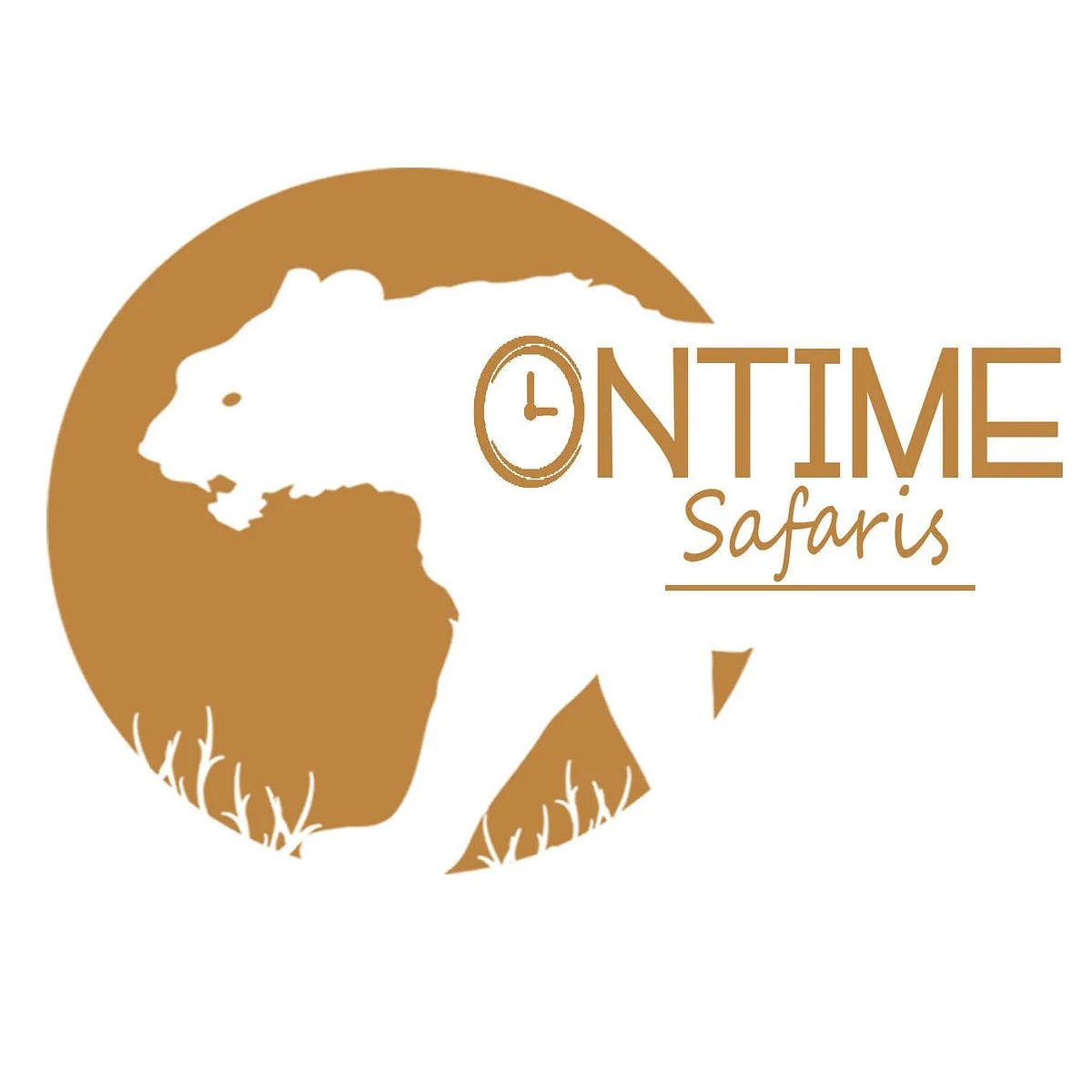 Ontime Safaris
