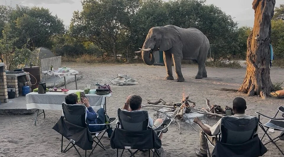 Africa's Best Adventures