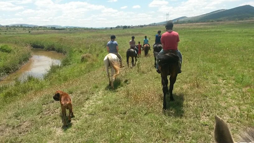 Harties Horse and Trails Unlimited