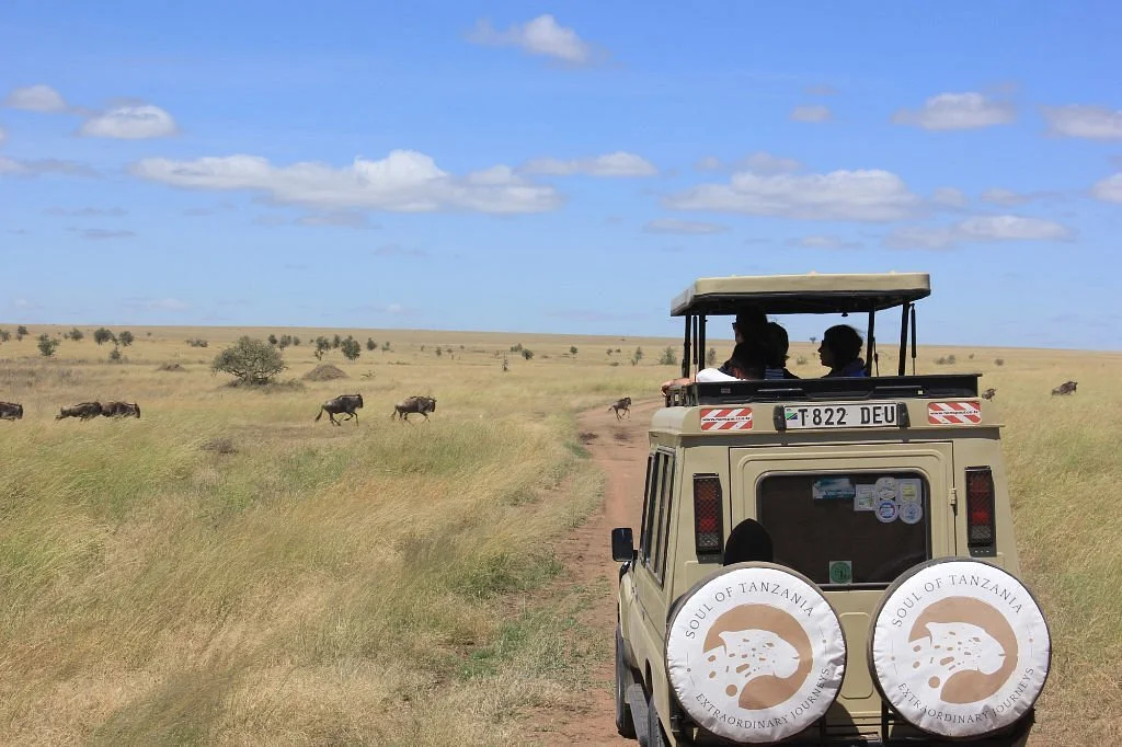 Tours Tanzania
