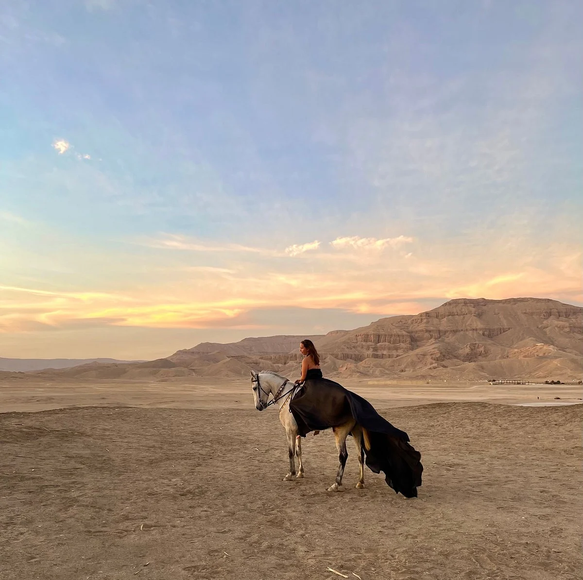 Desert Dreams