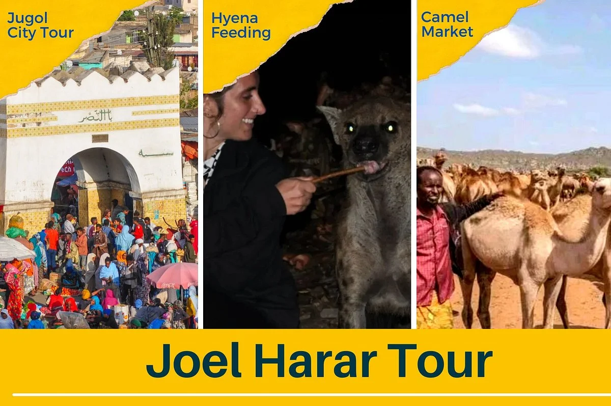 Joel Harar Tour