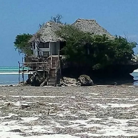 Zanzibar Taxi
