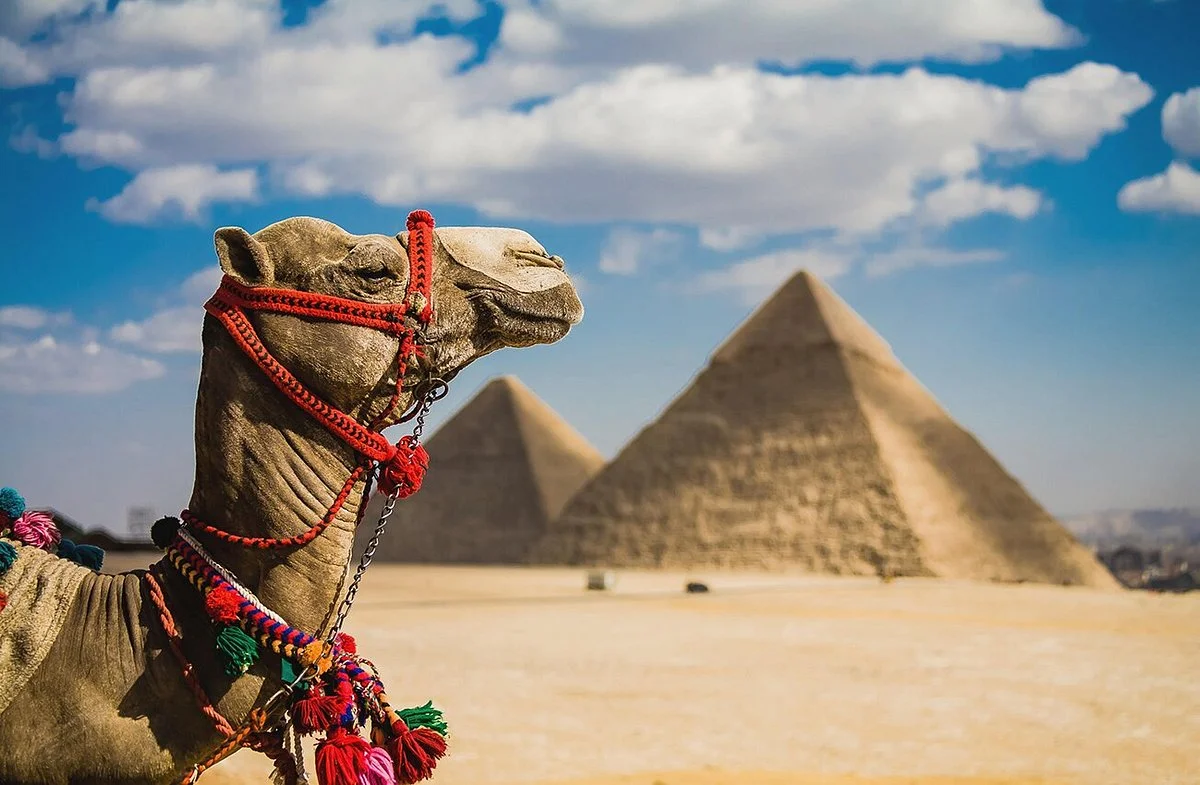 Amany Tourism