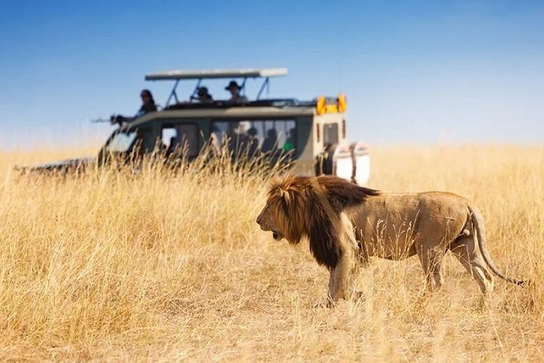 WIPA Safaris