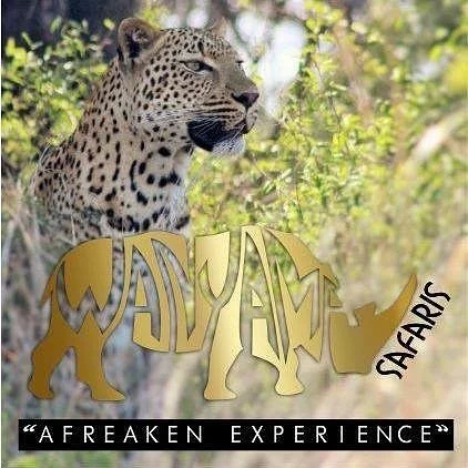 Wanyama Safaris