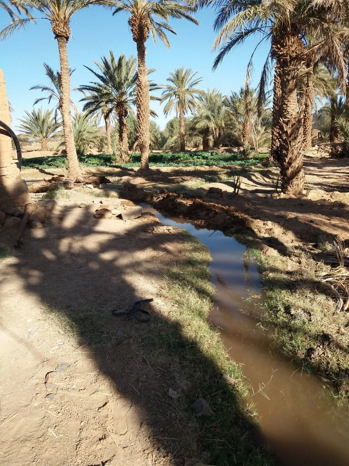 Magical Morocco Trips & Tours