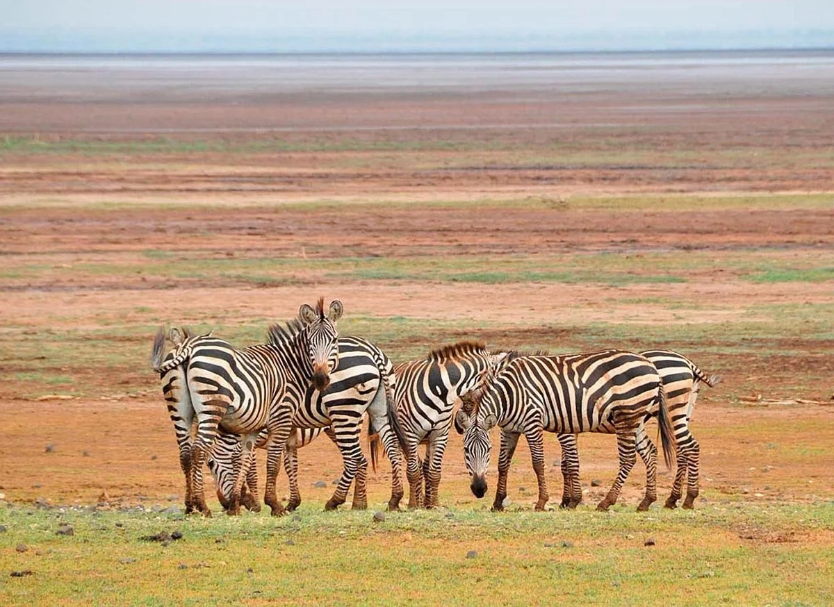 Tanzania Destination
