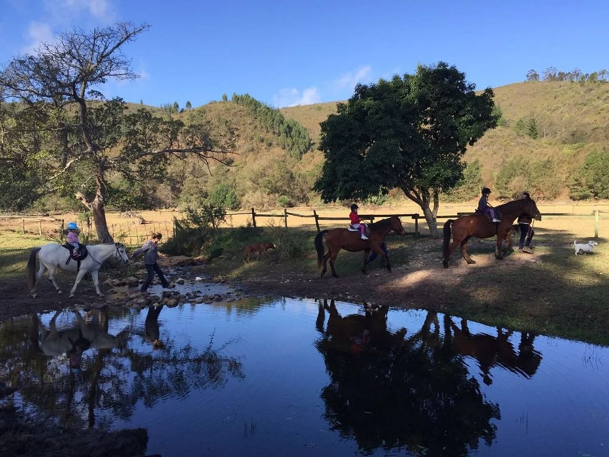Boschrivier Farm & Stables