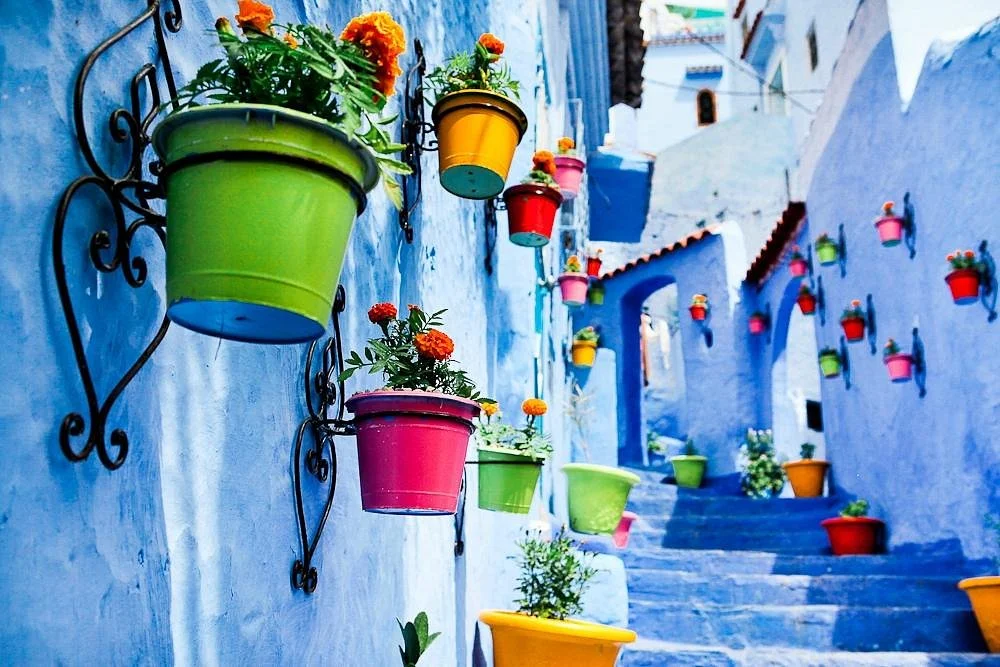 Follow Your Heart Travel Experiences