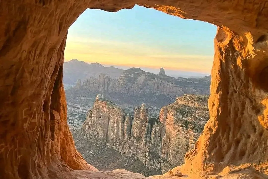 Lion Tigray Tours