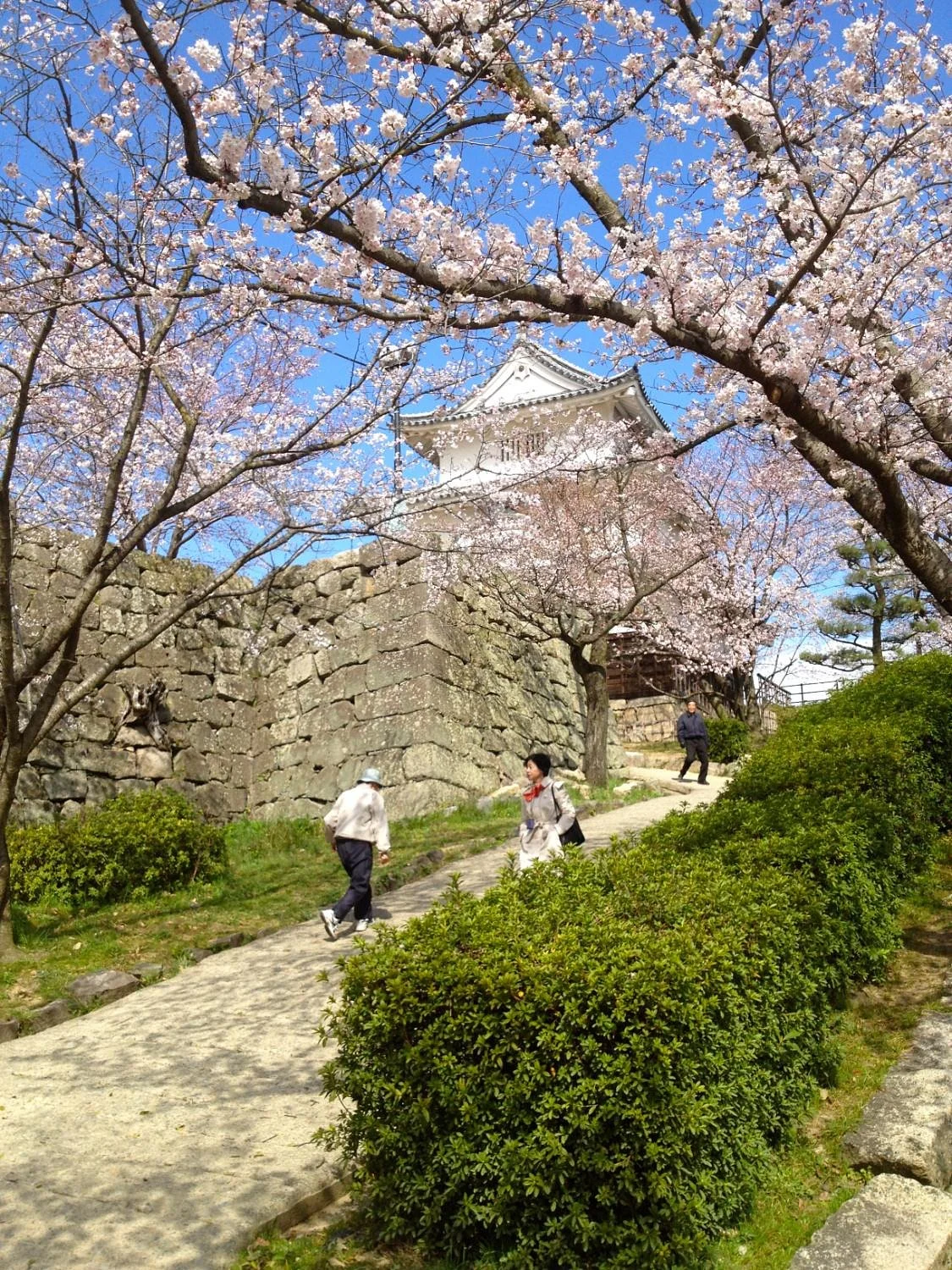 Marugame Castle Tourist Information Center