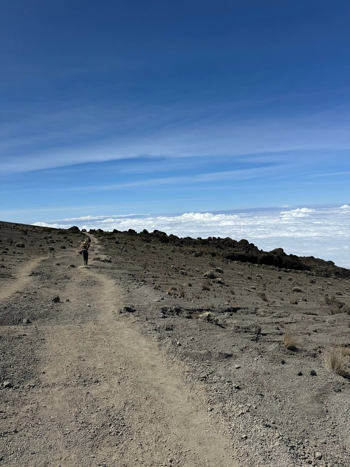 Africa Merit Safari & Adventures