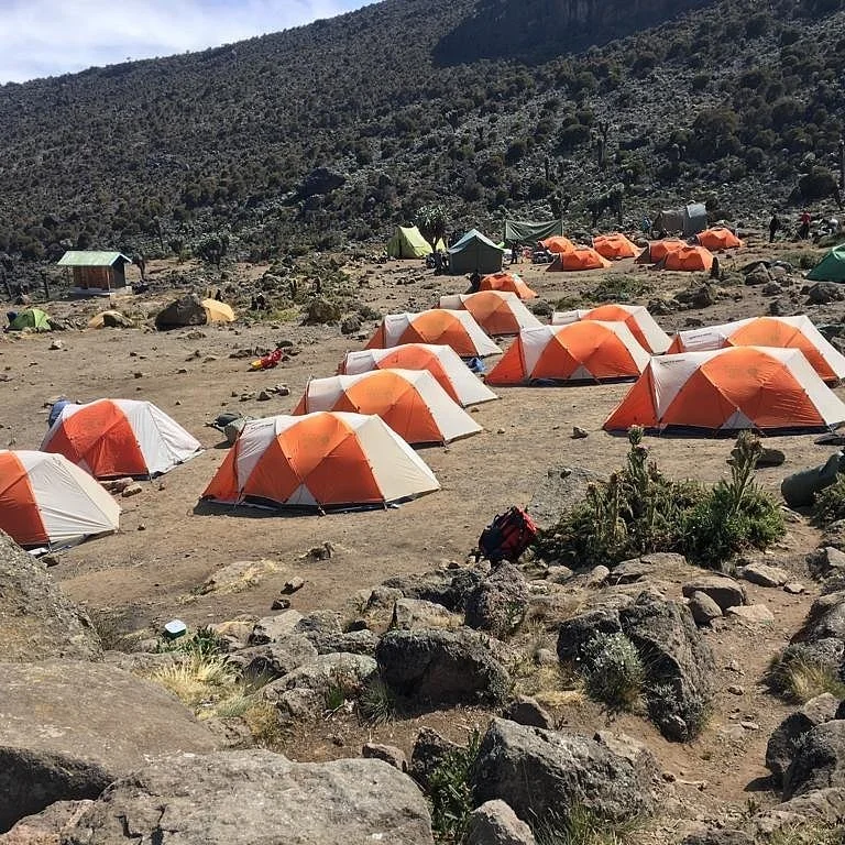 Lobelia Trekking  Expert Kilimanjaro Guides