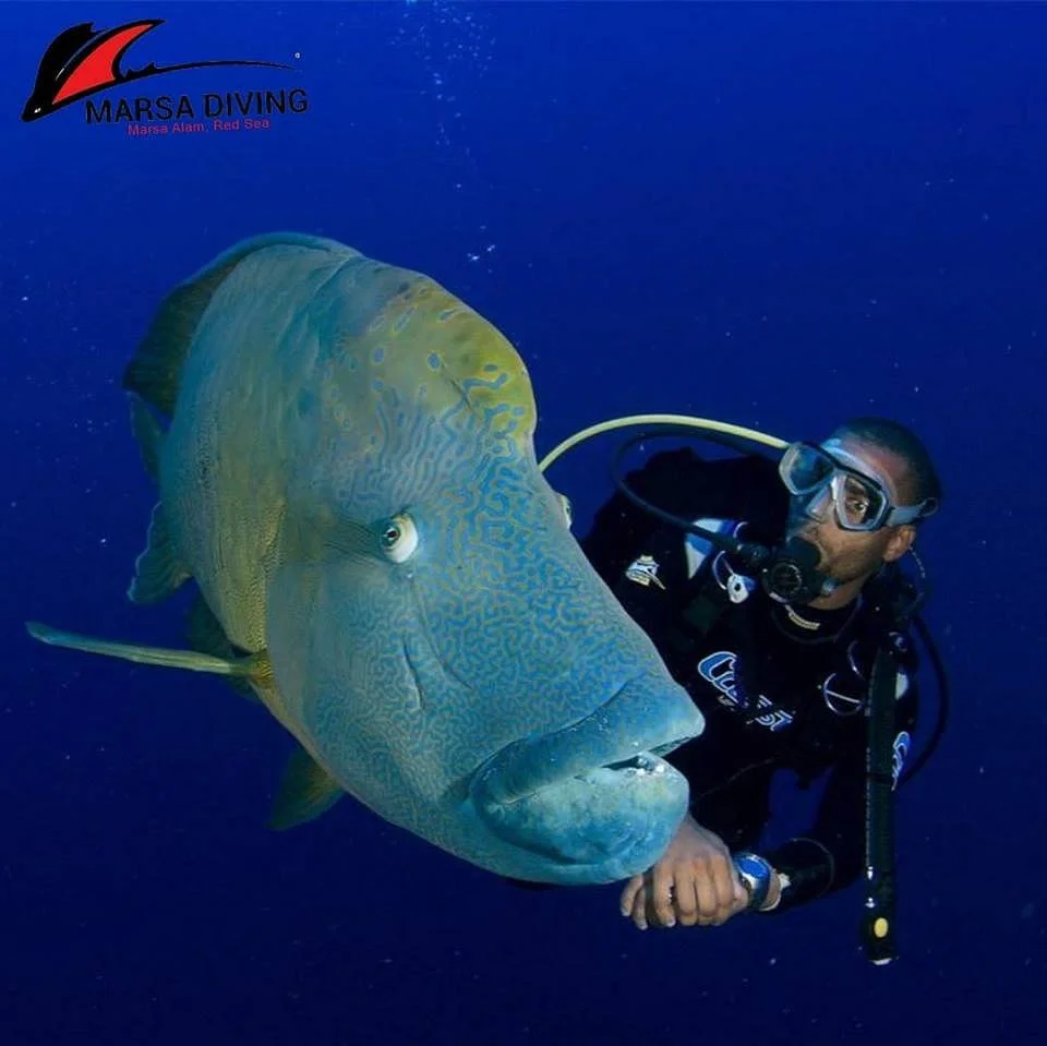 Marsa Diving Center