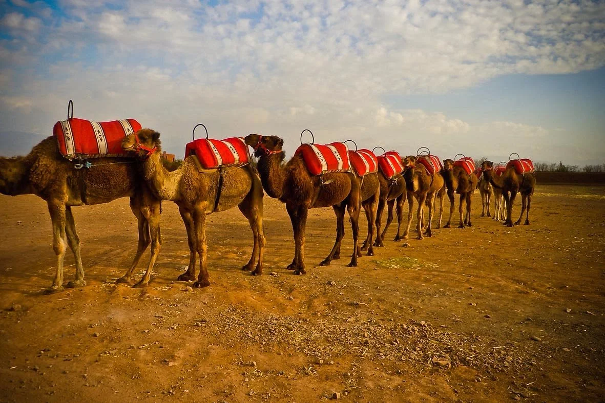 Desert Trips Morocco