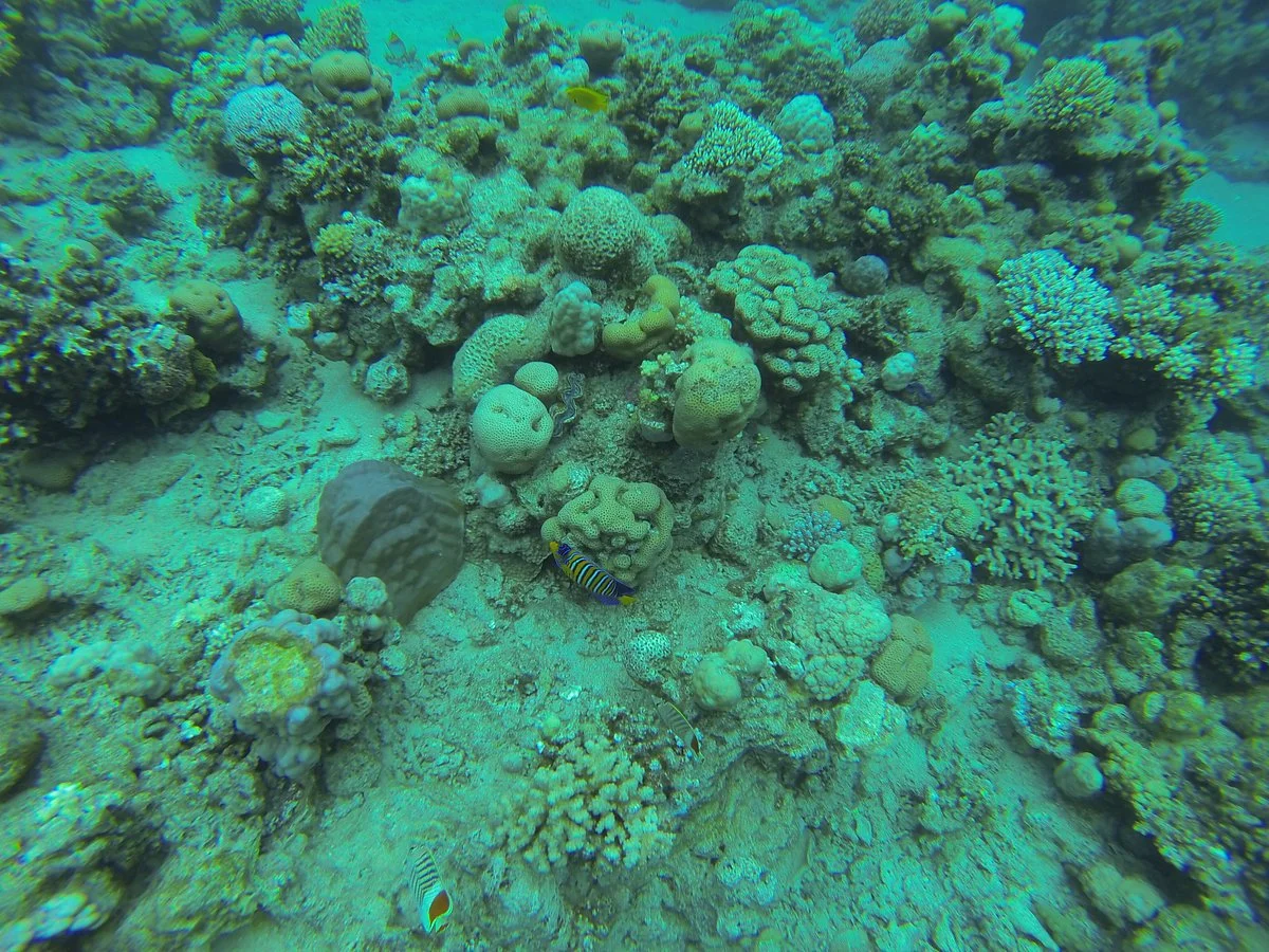 Blue Lagoon Diving Center